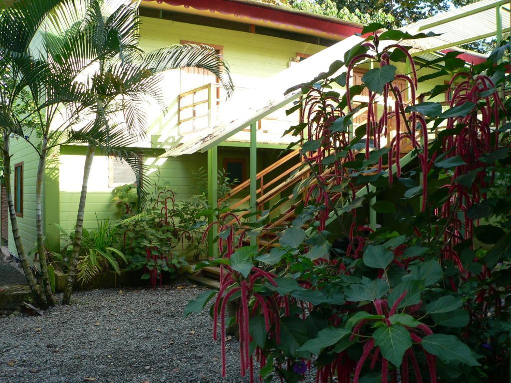 Blue Conga Hotel Puerto Viejo de Talamanca Exterior photo